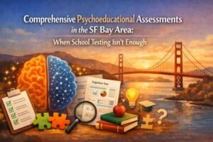 Comprehensive Psychoeducational Assessments in the SF Bay Area: When School Testing Isn’t Enough